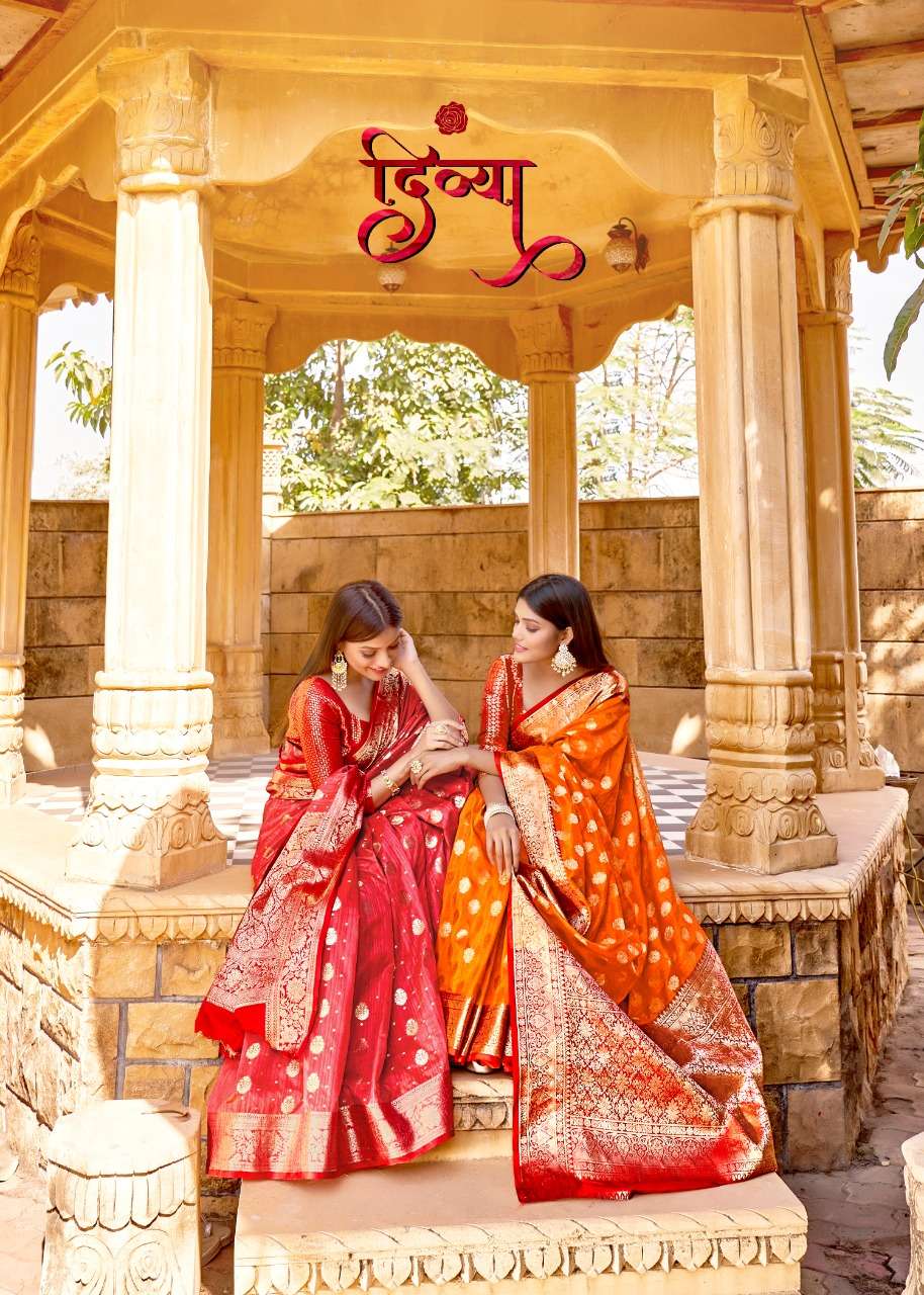 Divya Silk By Rajyog Launching Beautiful Catalogue